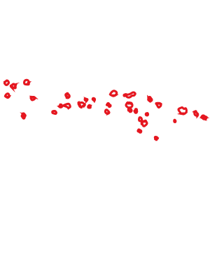 ISO Certification in Norway