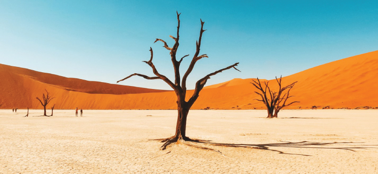 ISO Certification in Namibia